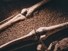 U Mastrihtu otkriveni posmrtni ostaci koji možda pripadaju musketaru D’Artanjanu