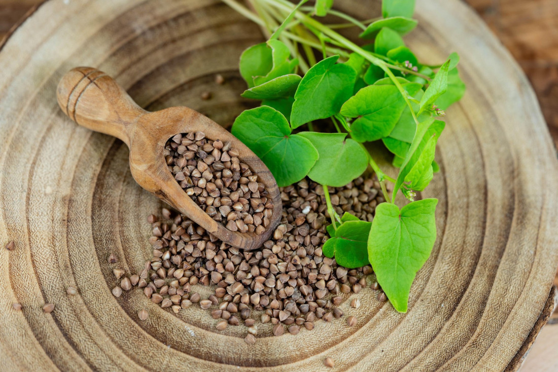 Namirnica koja je hranila generacije, pa zaboravljena