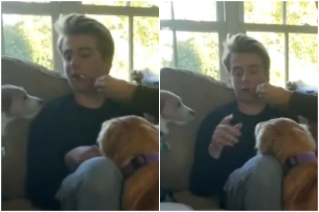 Mladić pod anestezijom priviđa izumrla bića