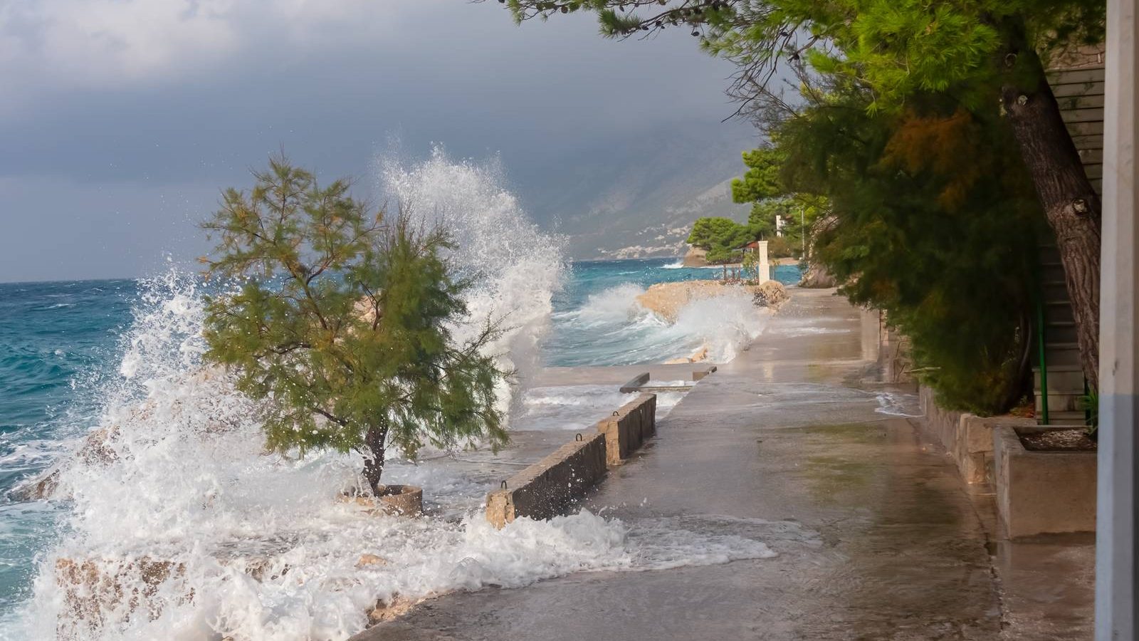 Nevreme u Hrvatskoj: Olujni vetrovi obarali stabla u Zagrebu, voz iskočio iz šina