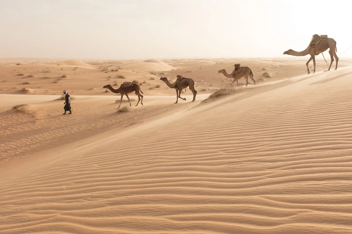 Apokaliptične slike sa Krita: Pesak iz Sahare pretvorio dan u „krvavu“ noć