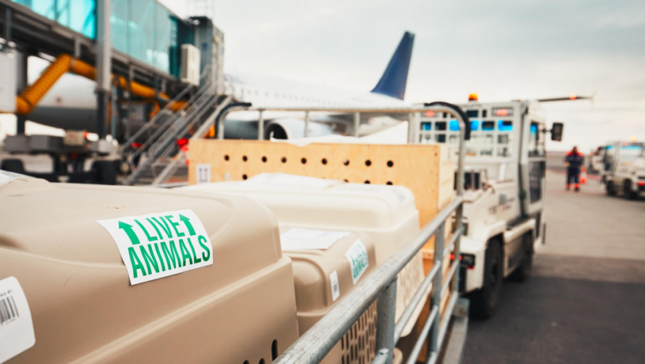 Srbija ispunjava uslove za kretanje kućnih ljubimaca