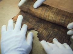 Arheolozi u Egiptu otkrili retke svitke od papirusa, kao i niz sarkofaga