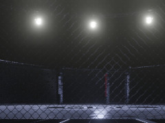 Pristao bih na meč sa sinovima Donalda Trampa u kavezu