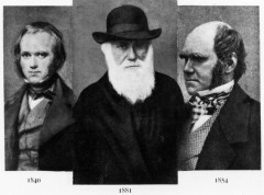 Dogodilo se na današnji dan – 19. april