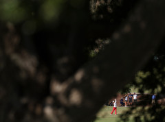 Grinpis izgradio vetroelektranu na Trampovom golf terenu u Škotskoj