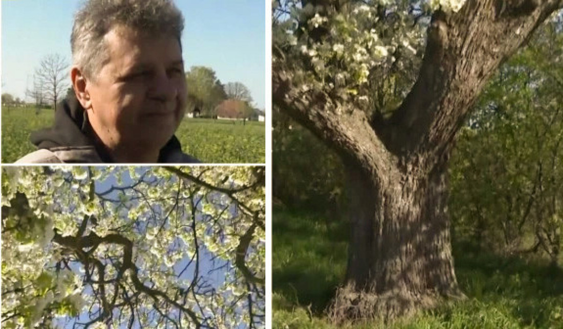 Dvoje ljudi ne može da je obuhvati