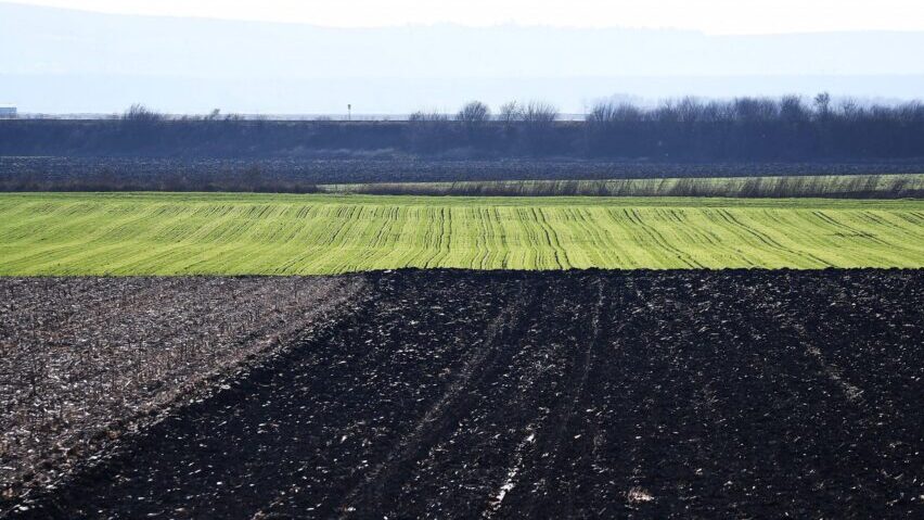 DRI: Preporuke o korišćenju poljoprivrednog zemljišta donele u budžet 114 miliona dinara – Ekonomija