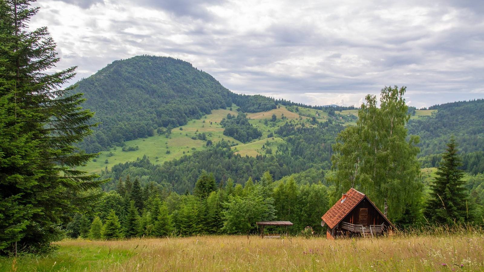 Vreme danas promenljivo oblačno sa sunčanim intervalima, u nekim delovima zemlje kiša – Društvo