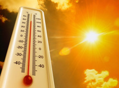 Evropa beleži rekordne temperature, naučnici upozoravaju na još topliju 2026.