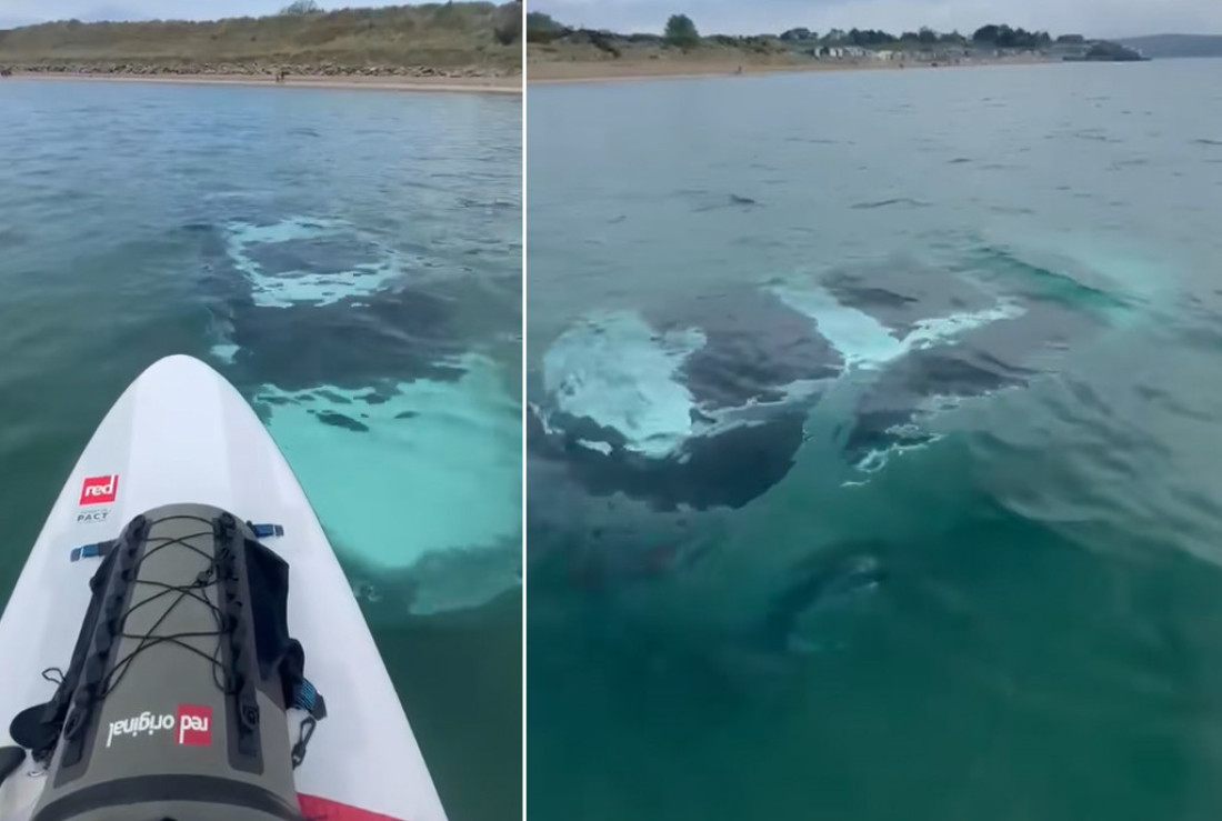 Žena pronašla Land Rover na dnu mora