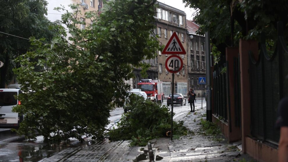 Više intervencija zbog nevremena u Zagrebu, jedna osoba lakše povređena prilikom pada grane – Region