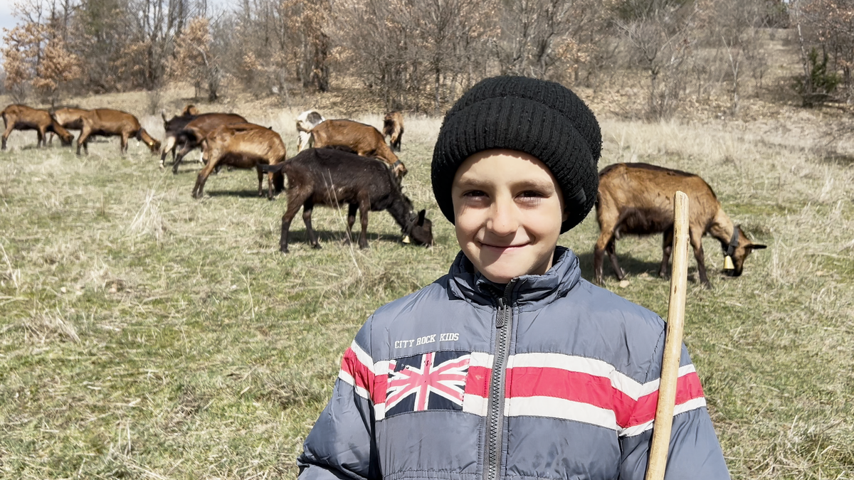 (Video) Nemanja (7) je najmlađi pastir u Srbiji: Život porodice Trajković u zabačenom selu