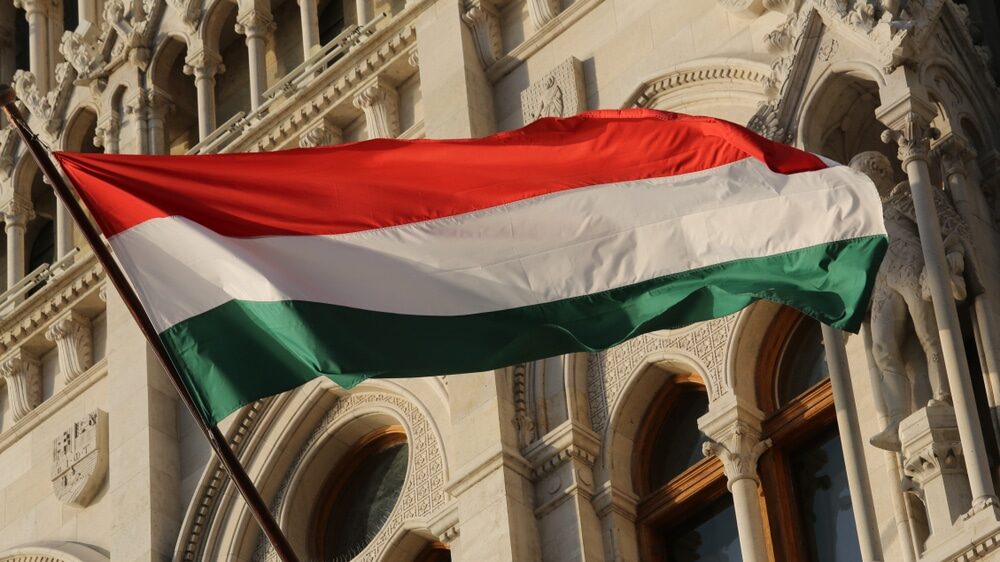 DZVM i LSV traže kažnjavanje zbog paljenja zastave Mađarske u Subotici – Društvo