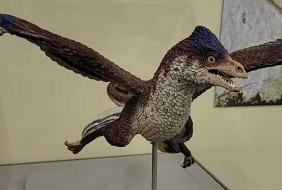 Dinosaurus sa četiri krila zbunio naučnike (VIDEO)