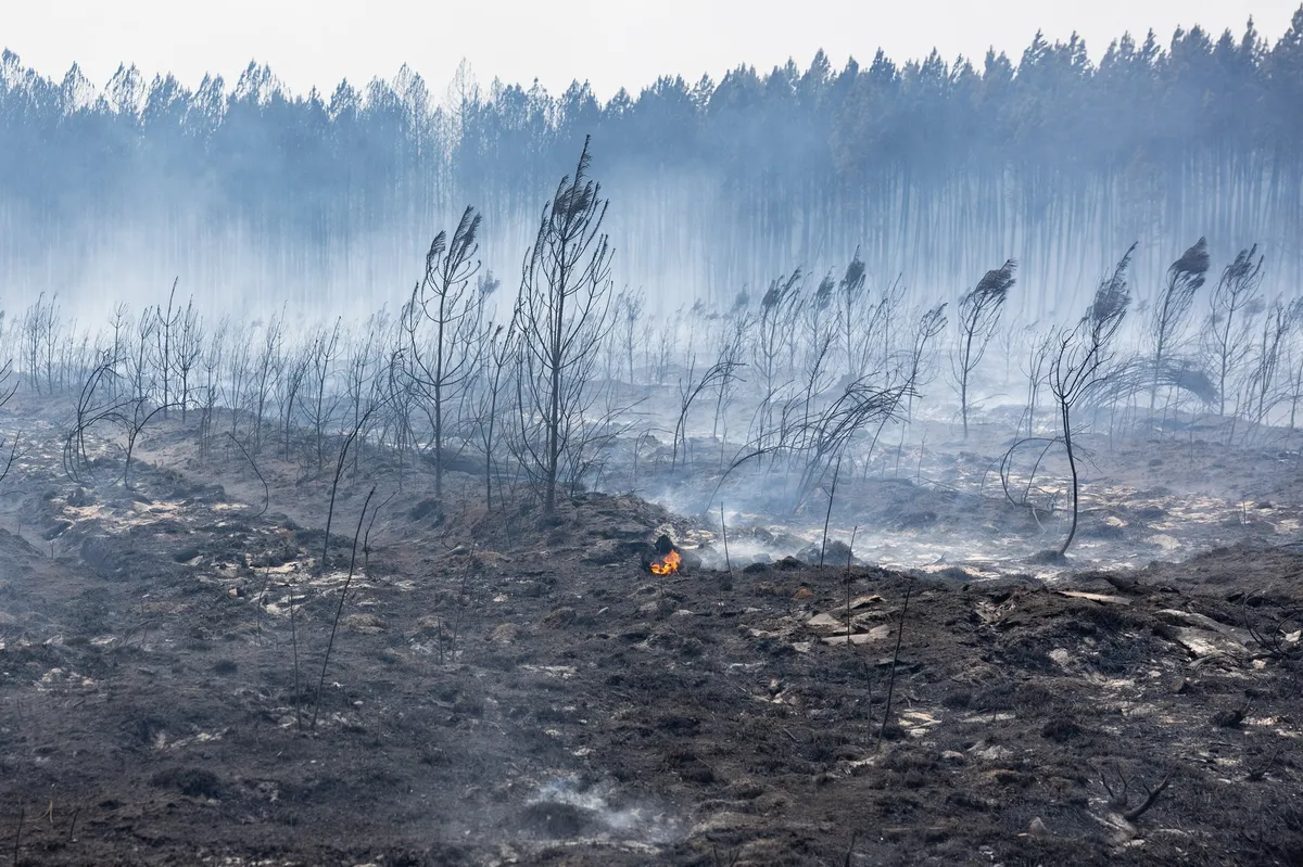 FOTO Pakleni talas ponovo raspiruje vatru: Francuska evakuiše obalu pred novom opasnošću
