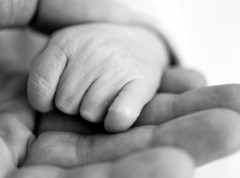U Peruu 468 beba dobilo ime Haland po norveškom fudbaleru