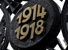 Godišnjica ultimatuma Austrougarske Srbiji 1914. godine, uvertire u Prvi svetski rat
