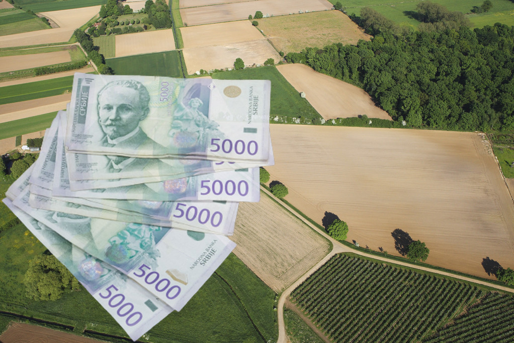 Ne pokušavajte na ovaj način da očistite njivu: Kazne idu i do milion dinara!