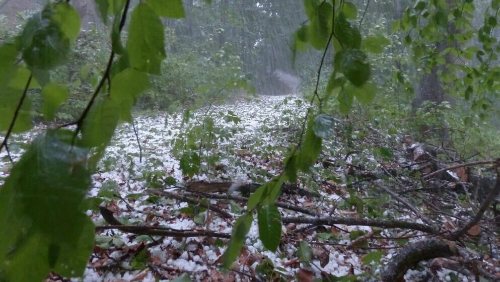 RHMZ izdao upozorenje na nepogode: Grmljavina u Barajevu, pljuskovi i grad kreću se ka Sopotu i Mladenovcu – Društvo