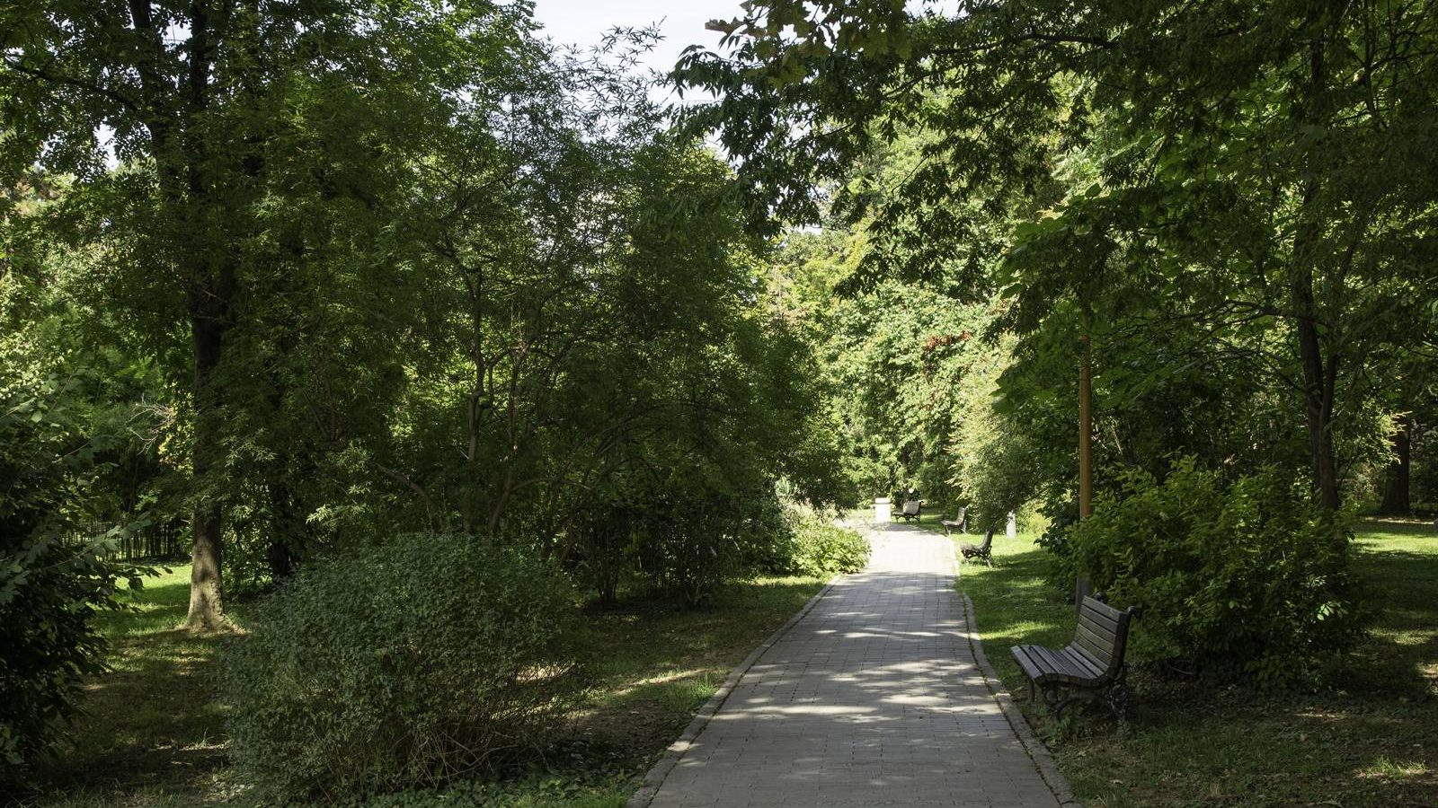 Vreme danas pretežno sunčano i toplo, tokom dana mogući pljuskovi – Društvo