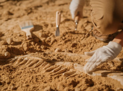 Vatrene oluje možda prethodile izumiranju dinosaurusa