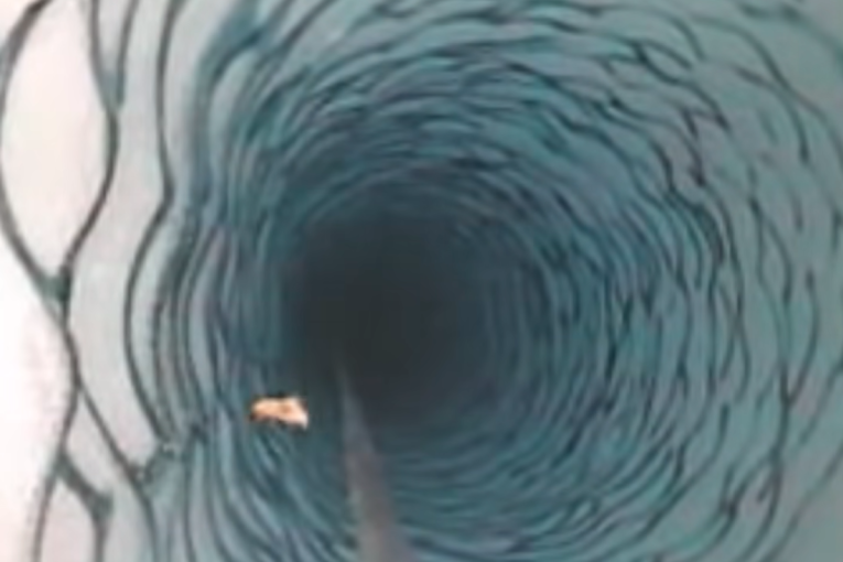 Iznenađenje na Antarktiku: Naučnici probušili 183 metra leda, a onda je iz mraka isplivalo neobično stvorenje (VIDEO)