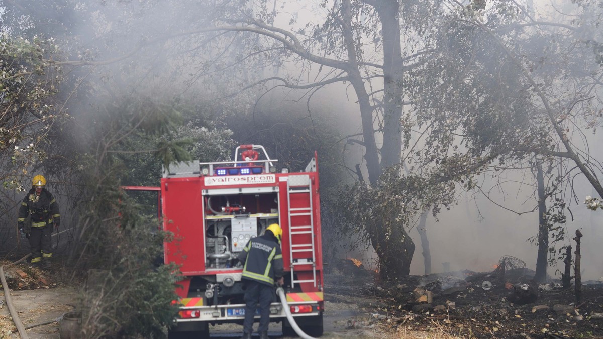 Veliki požar u Sremčici: Vatra umalo nije stigla do kuća (video)