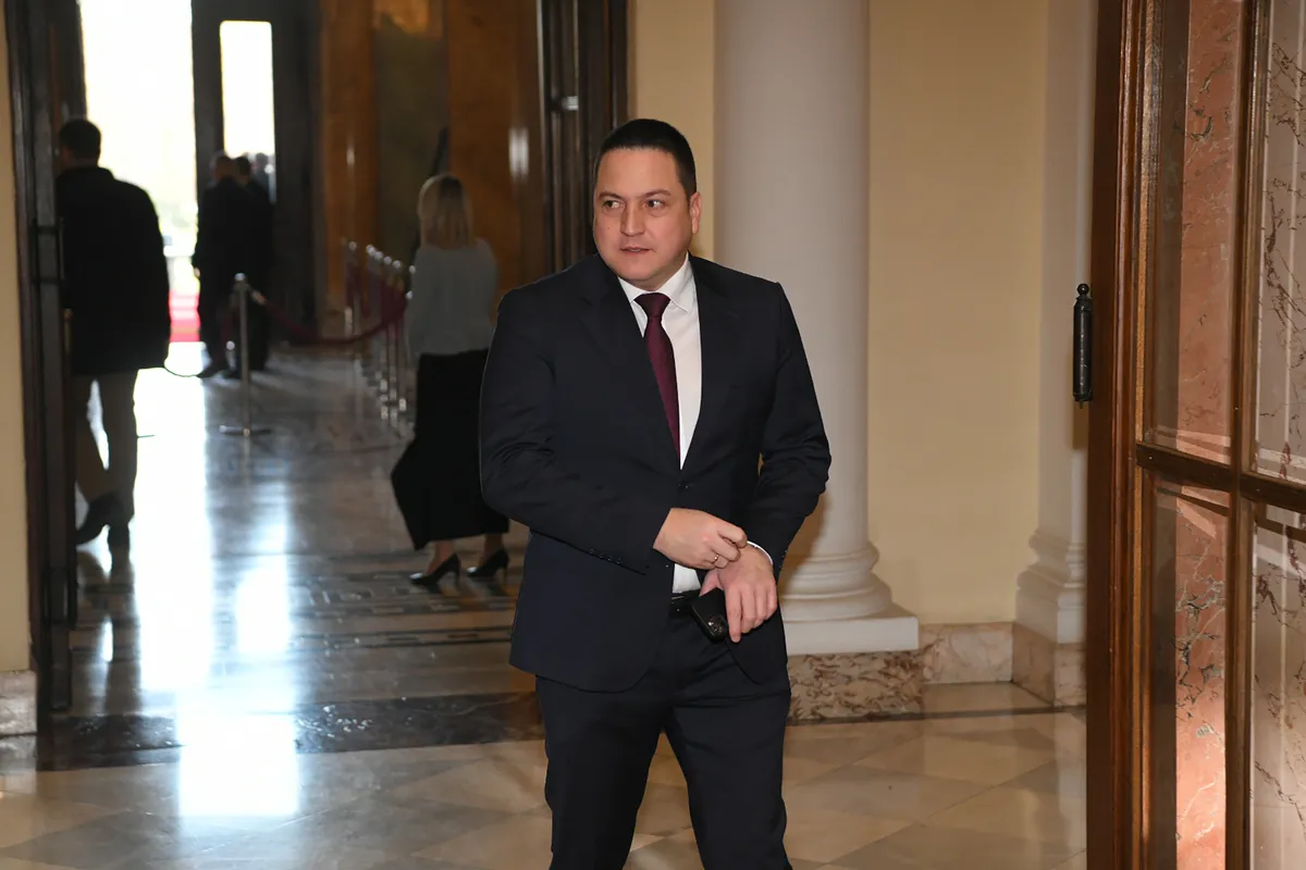Da li je Branko Ružić politički „poginuo“, a da nije postigao ništa