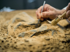 U Kini otkriven artefakt star 3.000 godina, napravljen od meteoritskog gvožđa