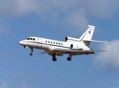 Zmija preplašila putnike u avionu, pojavila se iz pretinca za ručni prtljag