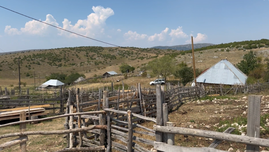 Sjenica proglasila vanrednu situaciju zbog suše i vrućina
