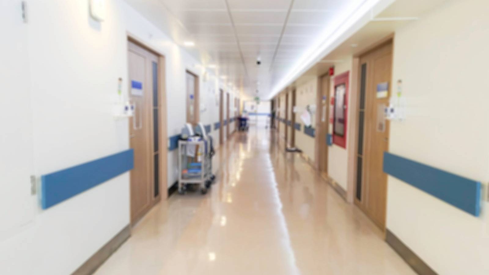 Severna Makedonija: Dva pacijenta sa groznicom Zapadnog Nila u izrazito teškom stanju – Region