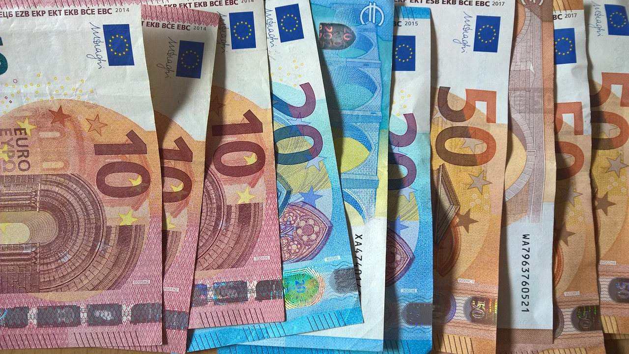 Novi evro: Betoven i Leonardo protiv ptica – Ekonomija