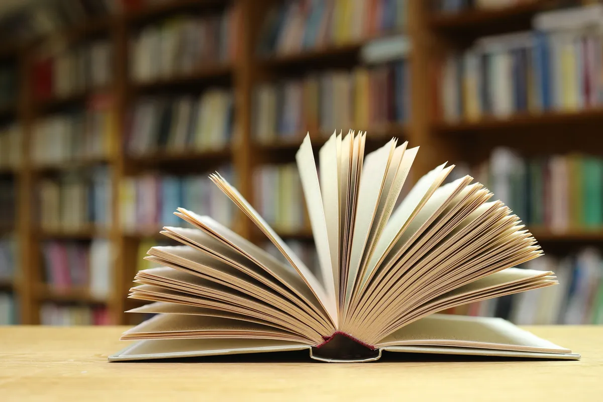 „Priznajem, zgrešio sam“: Šta su sve čitaoci vratili s knjigama u jednu slovenačku biblioteku – Vesti iz Srbije, regiona i sveta